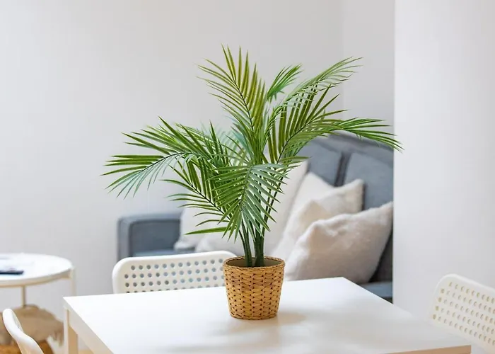 L'arche #climatisation #4pers * Cognac